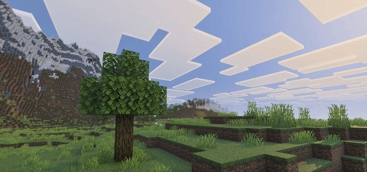 Minecraft Vibrant Visuals فقط سبک بصری موجود بازی را بهبود می بخشد